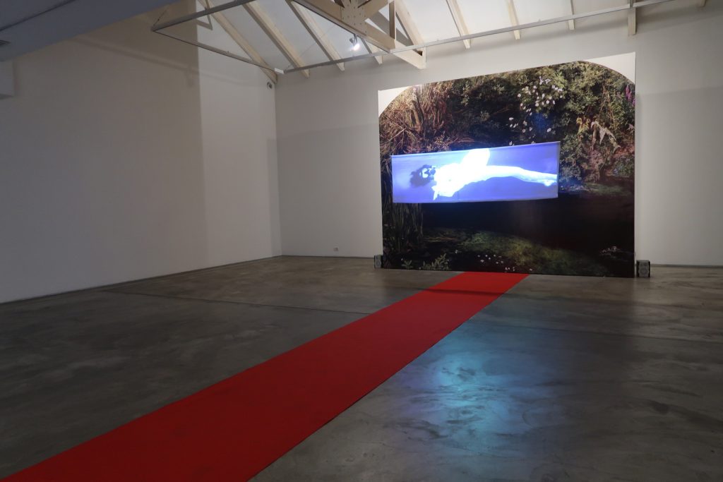 Nube Gallery10