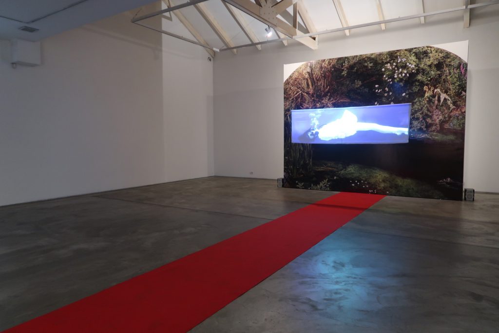Nube Gallery11