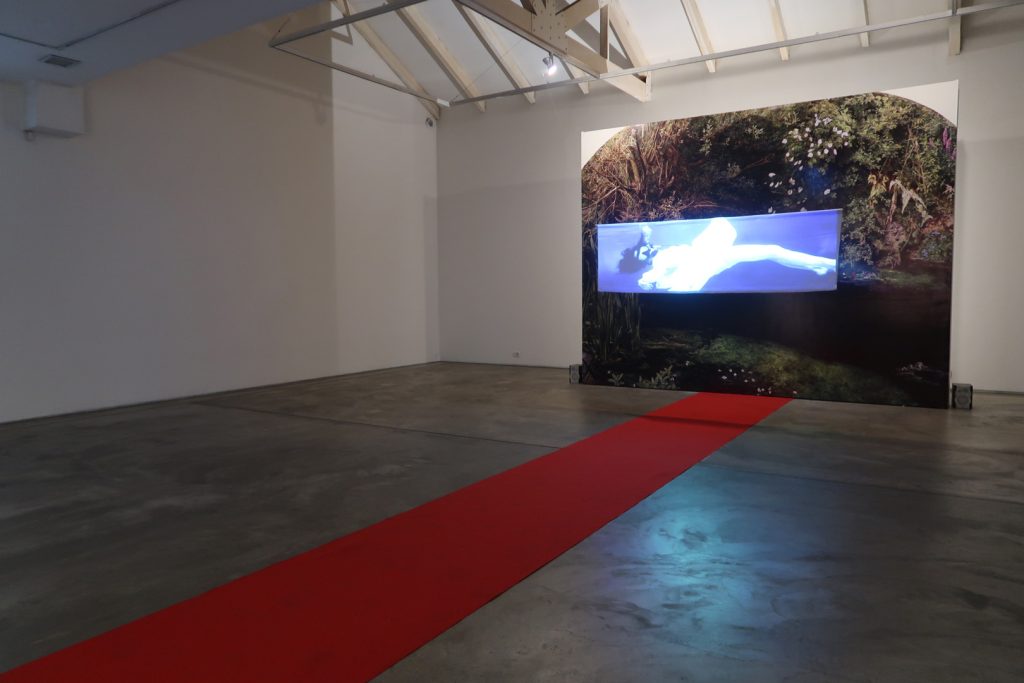 Nube Gallery13
