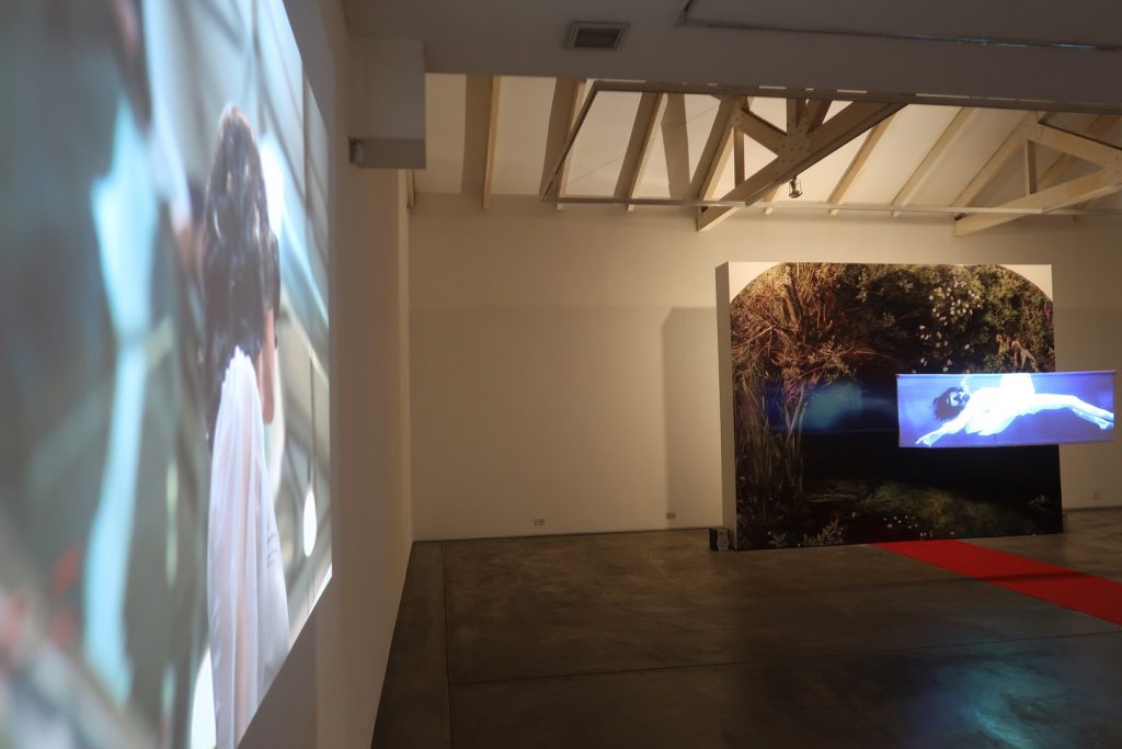 Nube Gallery17
