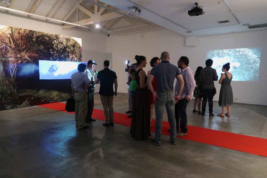 Nube Gallery5