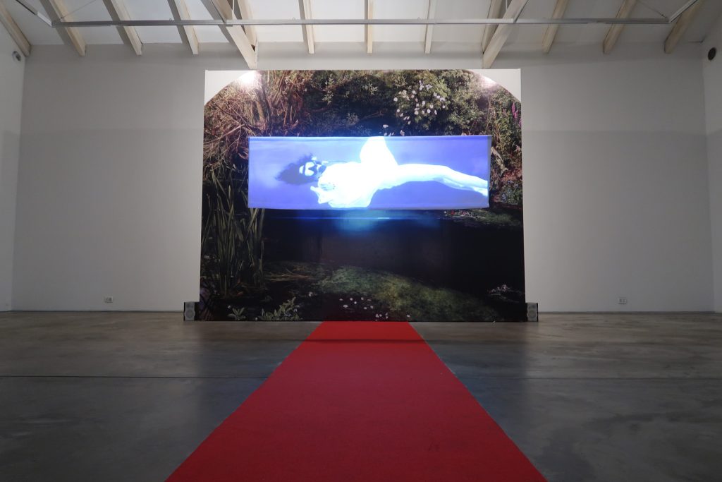 Nube Gallery7
