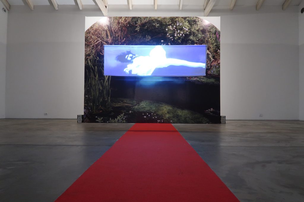 Nube Gallery8
