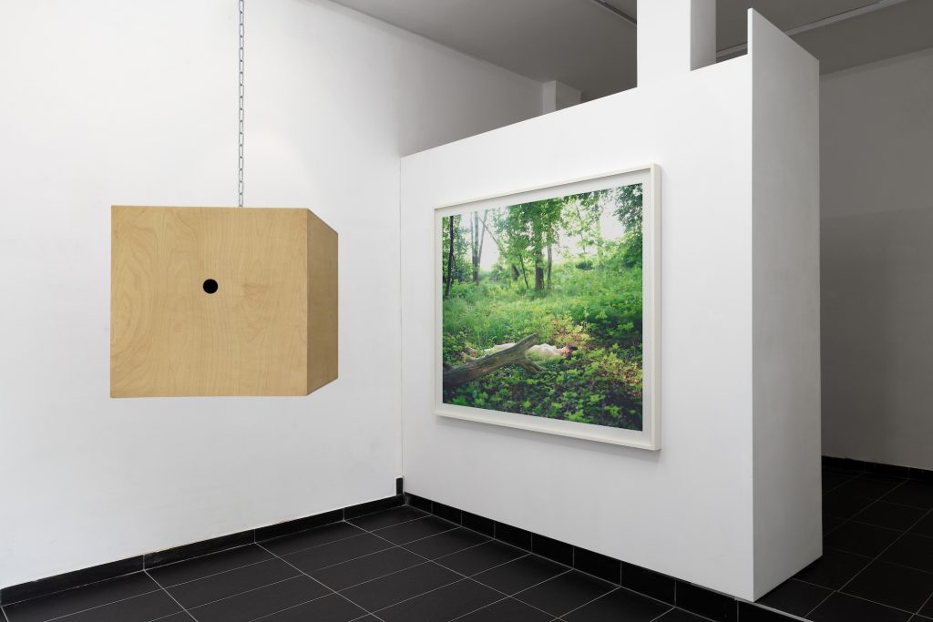 Sissi Installation 3