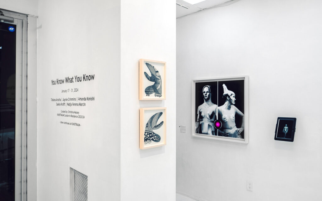 Kunstraum_You_Know_What_You_Know_Exhibit_1.19.2024_High_Res - 0037